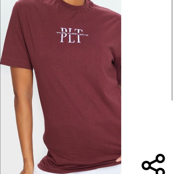 NEW PLT Pretty Little Thing - Rust Embroidered T-Shirt - MEDIUM - Picture 8 of 12